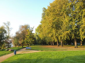 AC MILANSPORTS-草地网球公开赛郑钦文首次闯入八强,超霸世家代言人