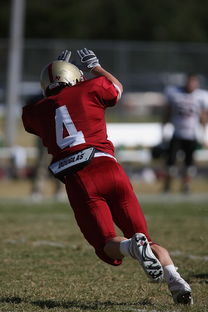 米兰体育·「中国」官方网站-西甲球队融合眼动追踪技术提升球员传球意识分布